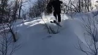 Skorpion i Gällivare