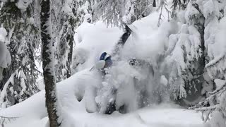 Att fastna med skidan; en stilstudie