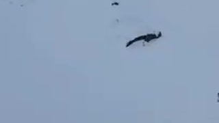 NEJ NEJ NEJ NEJ NEJ NEJ