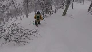 Ös i Hemsedalspuder