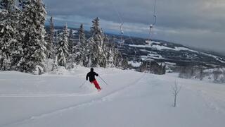 Plöstryck, Puderpappans värsta fiende