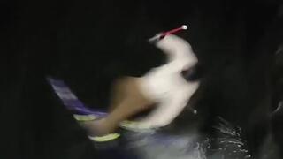 Garpenberg Underflip faceplant
