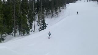 Skidlärare i parken
