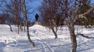 DU STÅR JU DÄR JAG KOMMER!