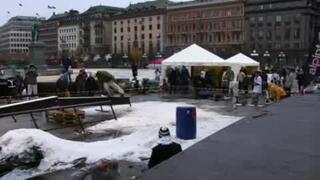 Felix E Railsesh i kungsan