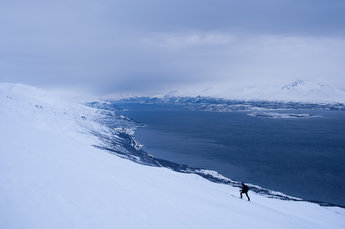 I Lyngen är det ofta skidbart hela vägen ner till fjorden.