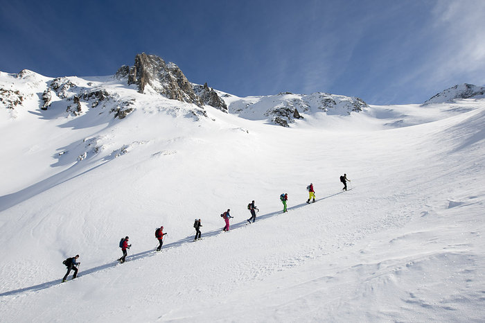 Lämmeltåg på snedden bakom bergsguide i Andermatt.