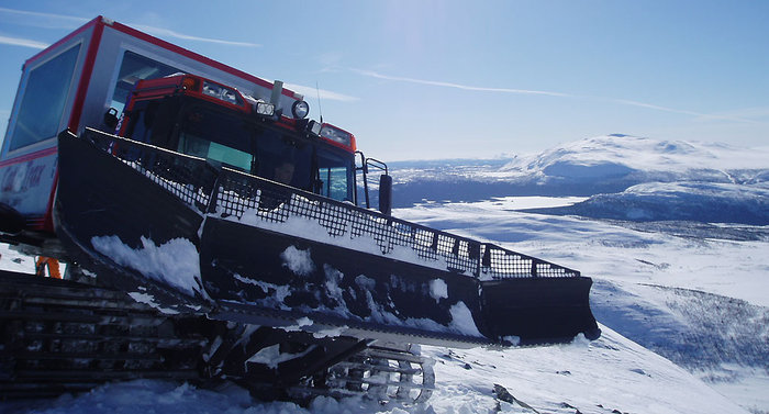Snökatten i dess rätta element.