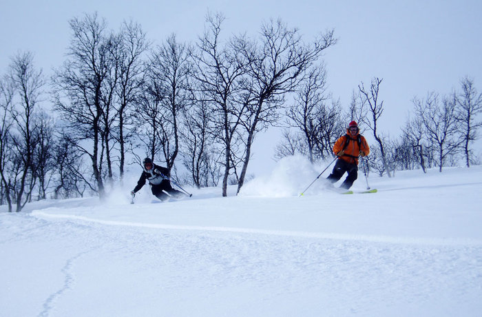 Skogsåkning när den är som bäst.