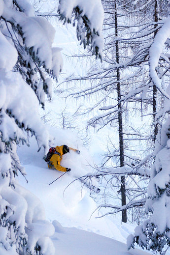 Reine tätt bakom i Krippenstein.