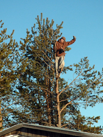 Alric hittar rätt vinkel i trädet.