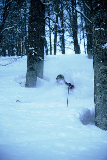 När man inte ser träden för all snö är skogsåkningen som bäst.