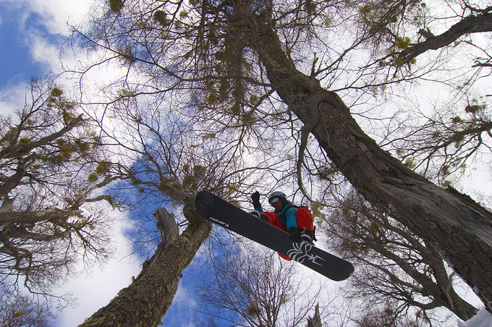 Daniel kryssar högt mellan träden i Catedral.