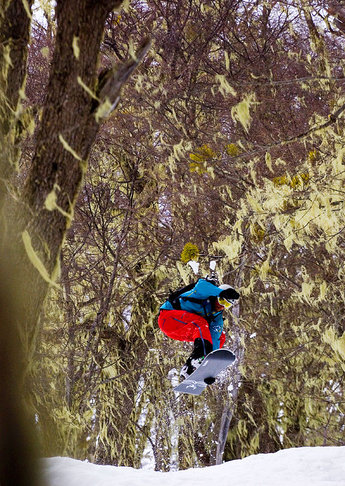 Träden i Catedral har grönt skägg.