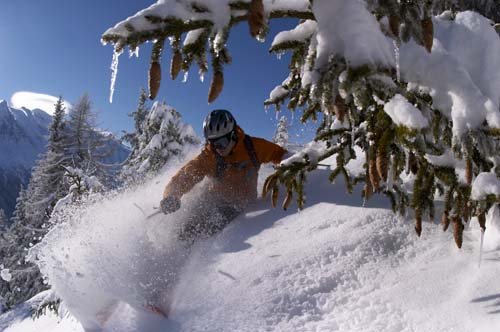 Fredrik Eriksson tar en närmare titt på kottarna I närheten men undkommer inte den fina vita snön.
