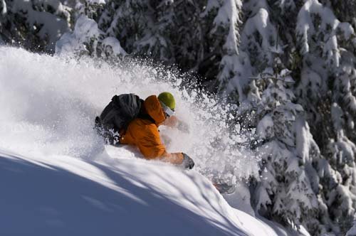 Det bär mot sherwood skogen skriker Tomas Bergemalm och beger sig mot skogsåkningen I raskt takt.
