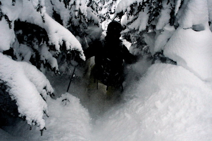 Skogsåkning är som bäst då den fungarar som peeling för ansiktet.