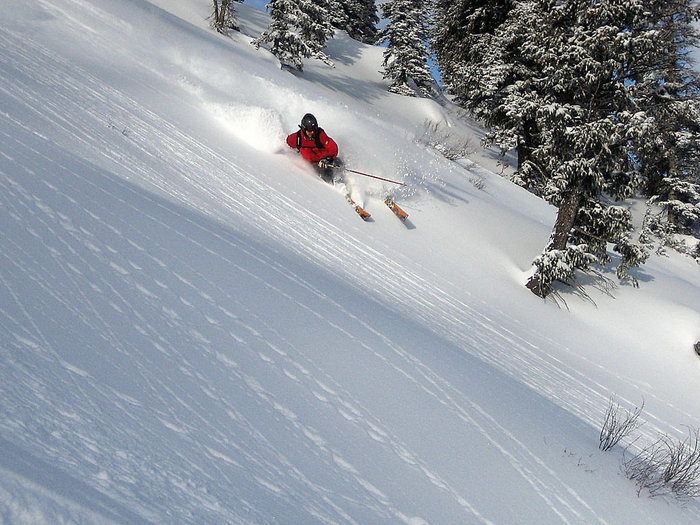 Saratoga Bowl; bra lutning, glest mellan träden och en Kristian Lidin.