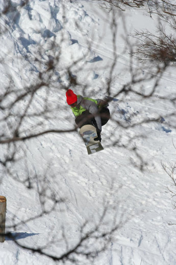 Johan Airijoki uppe bland björkarna.