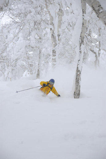 Livet nedanför trädgränsen!