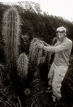 Plats: Valle Nevado, Chile