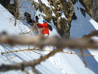 Bergman, konstnären.