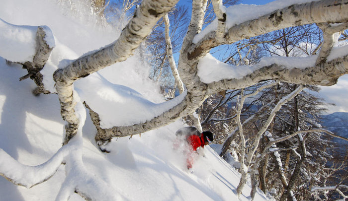 Kristoffer Frenkel åker på helig mark.