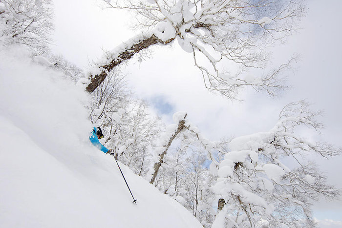 Johan Åkesson kör så att träden kröker sig.