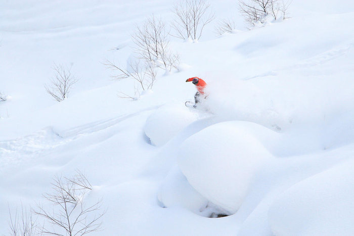Guiden Clayton visar hur snö fungerar i Japan.