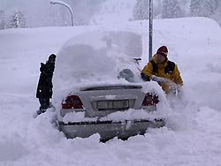 En ovanlig syn i framtiden?