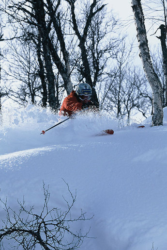 Ingen konstsnö här inte...