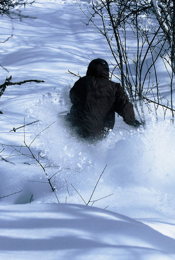 Artikelförfattaren hittar en öppning under La Puta