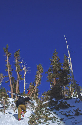 Att hika lönar sig i allmänhet och i Alta i synnerhet.