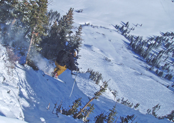 Erik Studer bangar inte för lite småhopp i Altas glesa granskog.