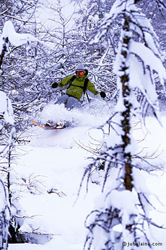 Åkare: Tobias Liljeroth