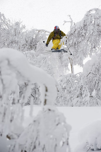 Henrik Windstedt i Niseko nyligen.