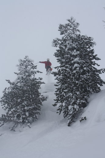 Fredrik Söderberg hittar rätt mellan träden.