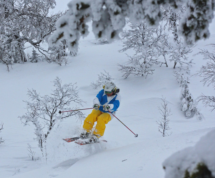 Vid Kanken samlas Trysilfjällets bästa snö, Even Windju kontrollerar kvaliteten.