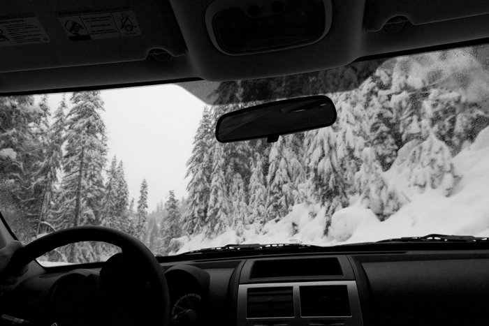 Vägen upp till Mount Baker gör allt för att stegra förväntningarna. Hur mycket snö kommer detta att vara när vi kommer upp?