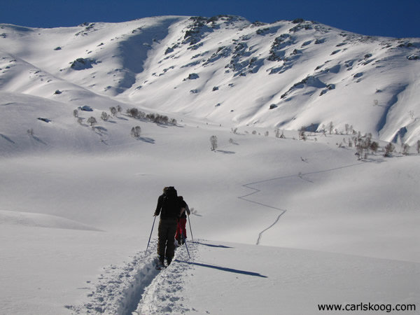 Hiking up mot Mount Apherwat, Gulmarg