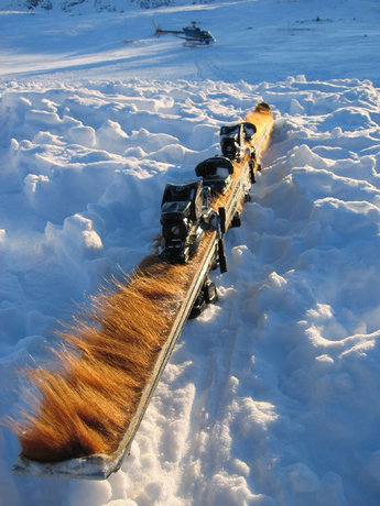 Det är alltid lite cowboy i Kittelfjäll. Här ett par koskinnsbeklädda tandemskidor.