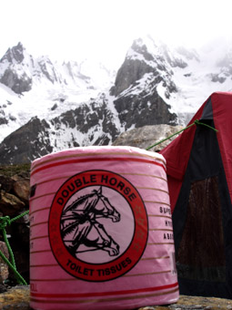 Double Horse Toilet Tissue