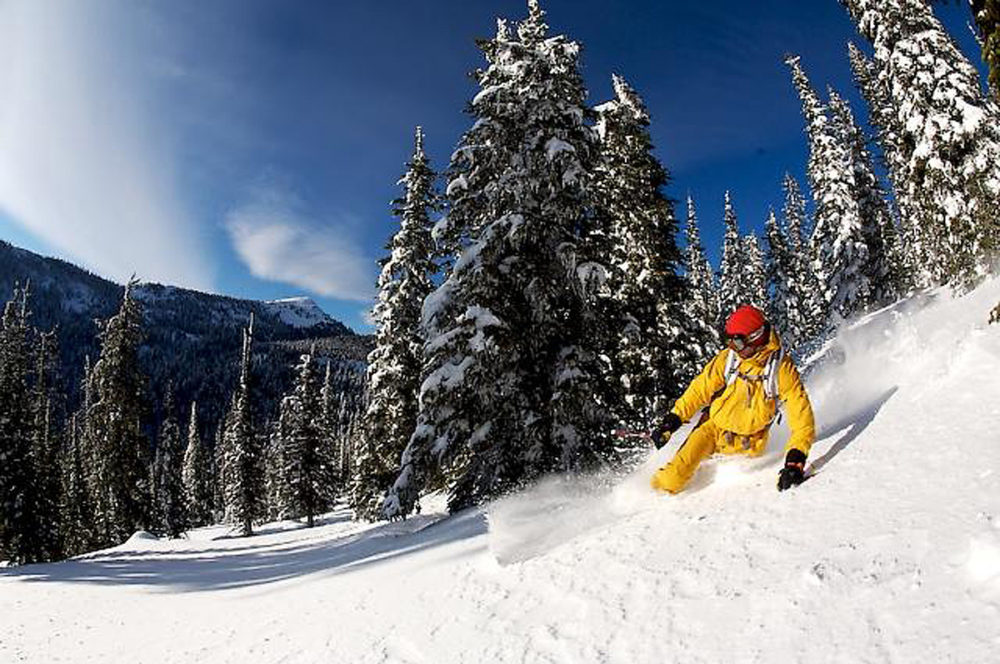 www.freeride.se