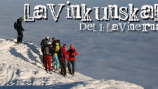 Lavinkunskap: Lavinerna