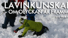 Lavinkunskap: Om olyckan är framme