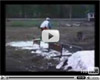 Filmer direkt i forumet