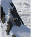 Norway Freeride Cup avgjord
