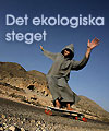Det ekologiska steget