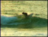 Surfing Girls