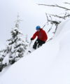 Bringing Telemark Home
